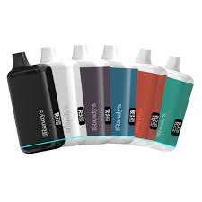 Randy's Inspo Plus — 10 Count Display/ 1000mAh