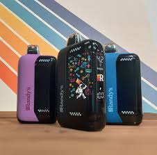 Randy's Inspo Max — 5 Pack| 1000 mAh
